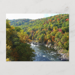 Carte Postale Ohiopyle River à l'automne II Pennsylvanie Automne