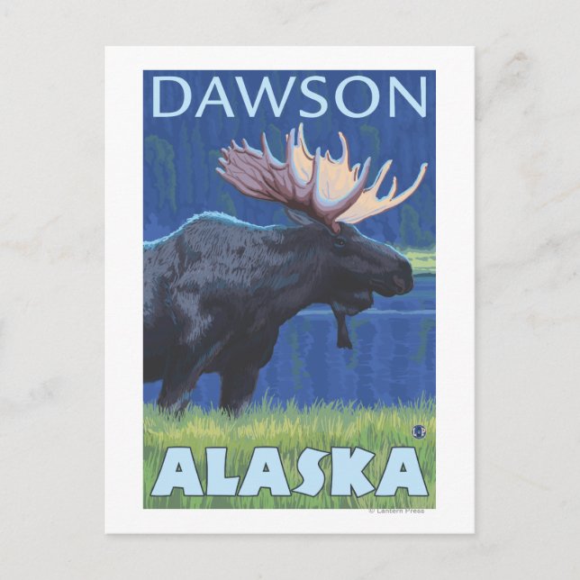 Carte Postale Oie à la nuit - Dawson, Alaska (Devant)