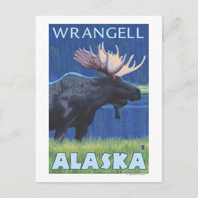 Carte Postale Oie à la nuit - Wrangell, Alaska (Devant)