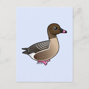 Carte Postale Oie à pieds roses