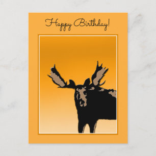 Carte Postale Oie au coucher du soleil - Art original de la faun
