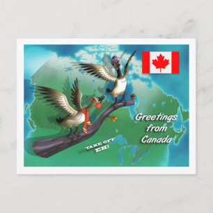 Carte Postale Oie canadienne