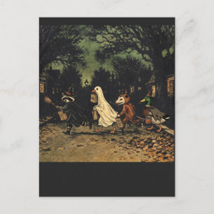 Carte Postale Oie fantôme Canard colvert Sorcière Raton laveur &