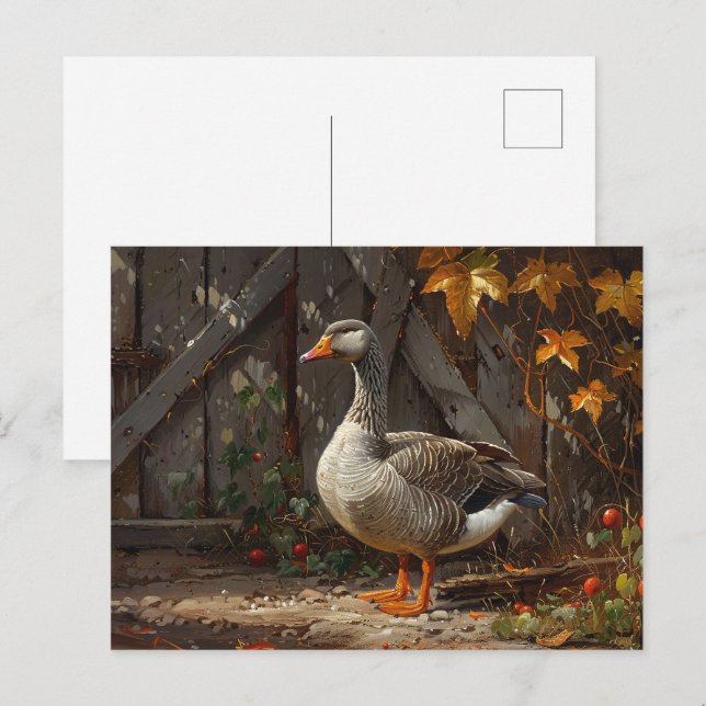 Carte Postale Oie grise dans le Barnyard (Devant / Derrière)