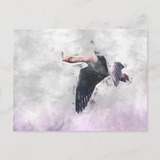 Carte Postale Oie grise volante (Devant)