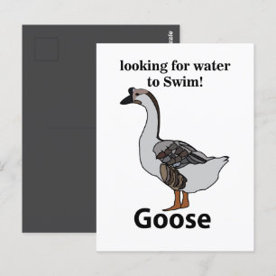 Carte Postale Oie Recherche de l'Eau pour Nager Oie Africaine