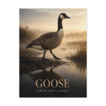 Oie Zones Humides Ouvertes ANIMAL Faune