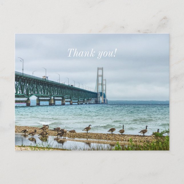 Carte Postale Oies au Mighty Mac Merci (Devant)