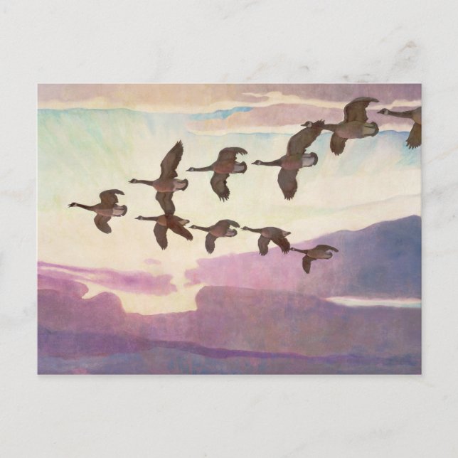 Carte Postale Oies du Canada au printemps par Newell Convers Wye (Devant)