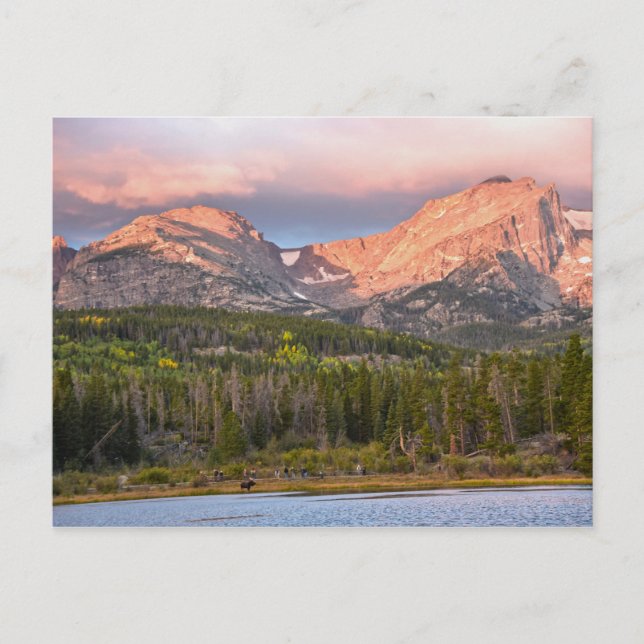Carte Postale Oies Et Touristes À Sprague Lake, Colorado (Devant)