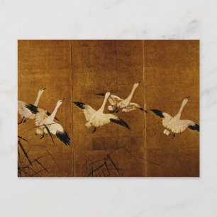 Carte Postale Oies sauvages