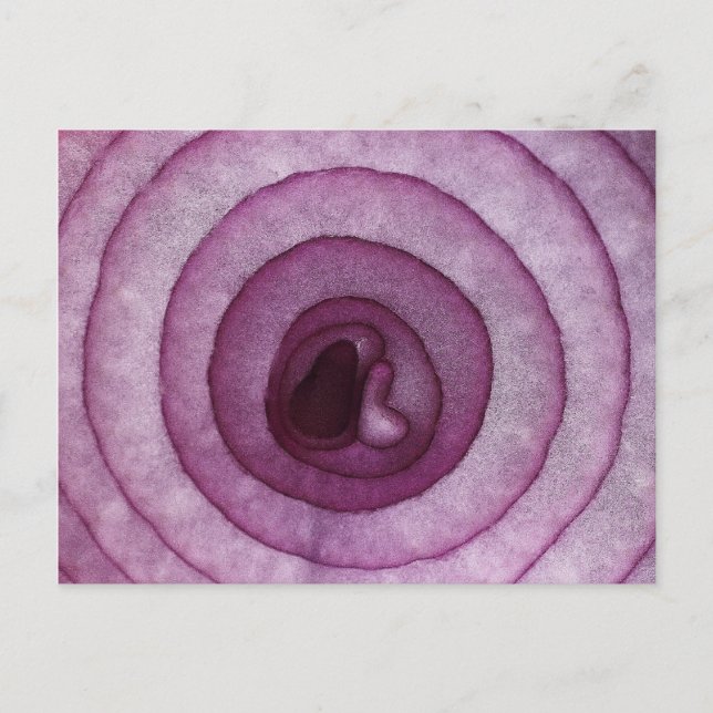 Carte Postale Oignon (Devant)