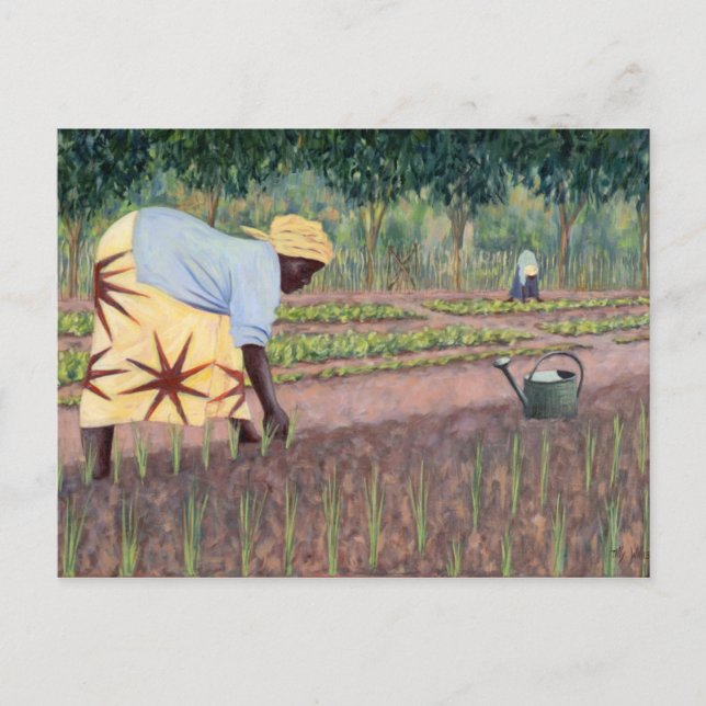 Carte Postale Oignons de plantation 2005 (Devant)