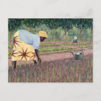 Oignons de plantation 2005