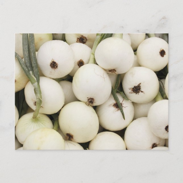 Carte Postale Oignons doux Walla Walla (Devant)
