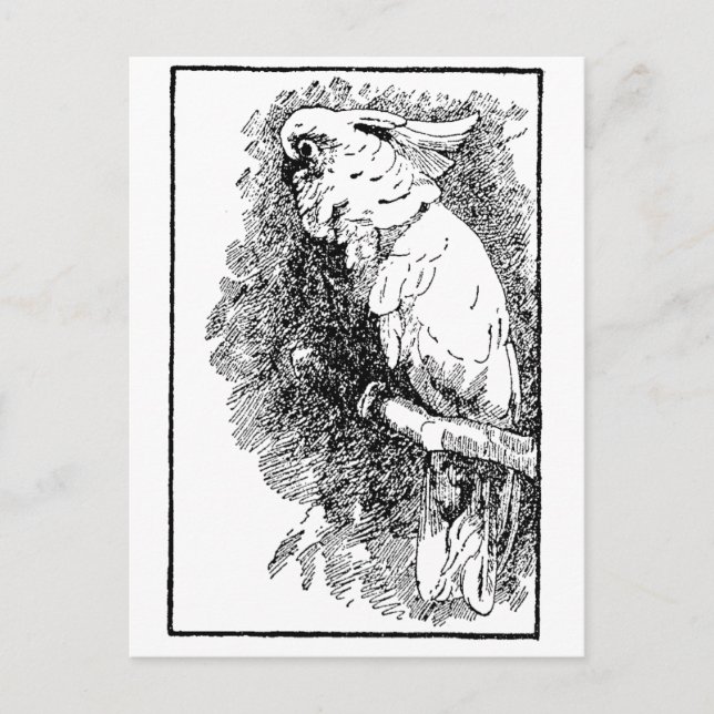 Carte Postale Oiseau (Devant)