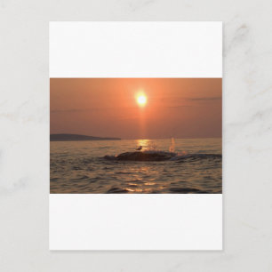 Carte Postale oiseau