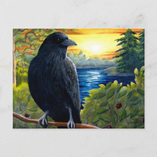 Carte Postale Oiseau 63 corneille (Devant)