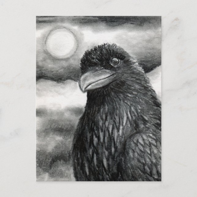 Carte Postale Oiseau 64 Corbeau de corbeau (Devant)