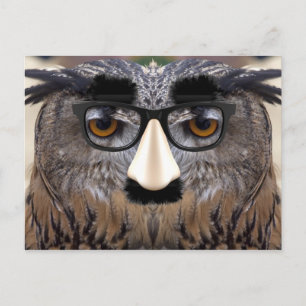 Carte Postale Oiseau à gros nez