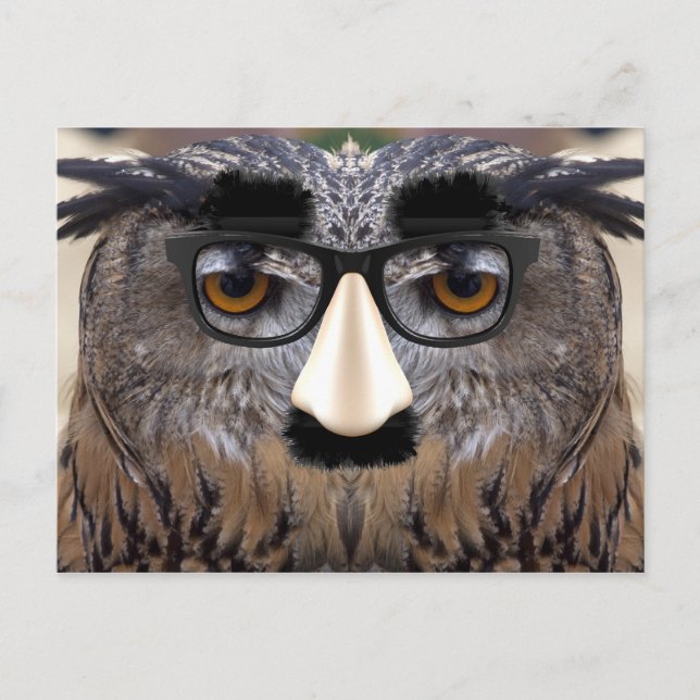Carte Postale Oiseau à gros nez (Devant)