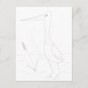 Carte Postale Oiseau aquatique
