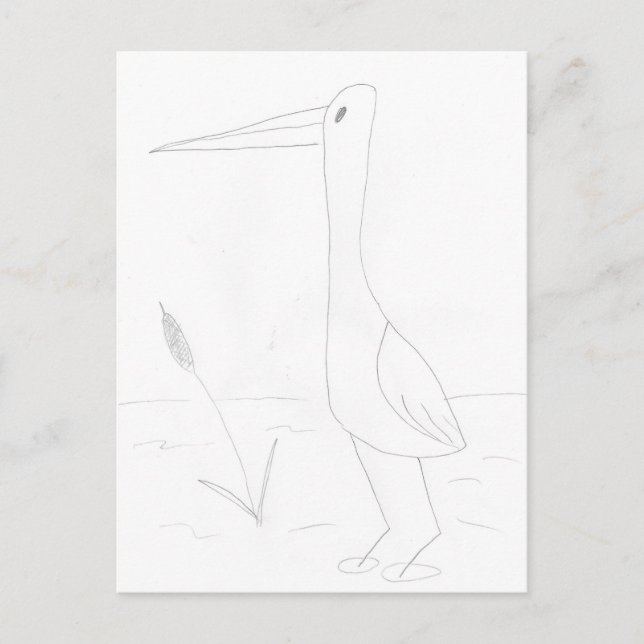 Carte Postale Oiseau aquatique (Devant)