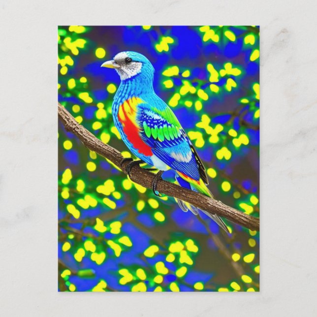 Carte postale Oiseau aux couleurs vives (Devant)