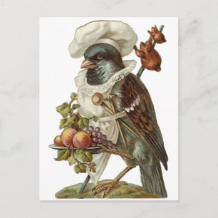 Carte Postale Oiseau avec nourriture et chef Casquette
