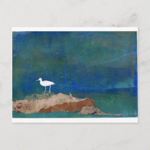Carte Postale Oiseau blanc