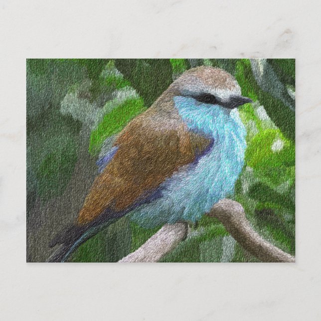 Carte postale Oiseau bleu (Devant)