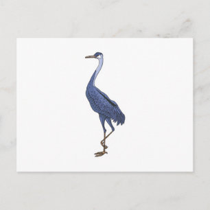 Carte Postale oiseau bleu