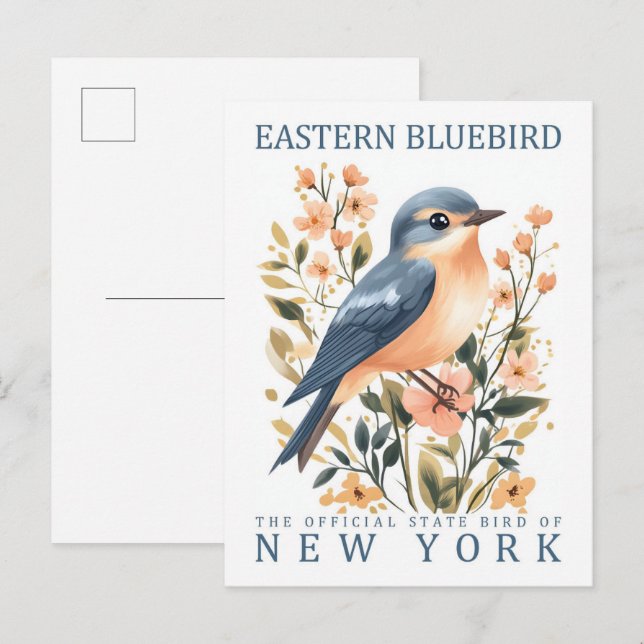 Carte Postale Oiseau bleu de l'Est de New York États-Unis (Devant / Derrière)