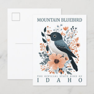 Carte Postale Oiseau bleu de montagne Idaho USA Travel