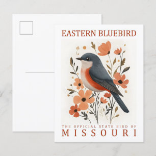 Carte Postale Oiseau bleu du Missouri USA Travel