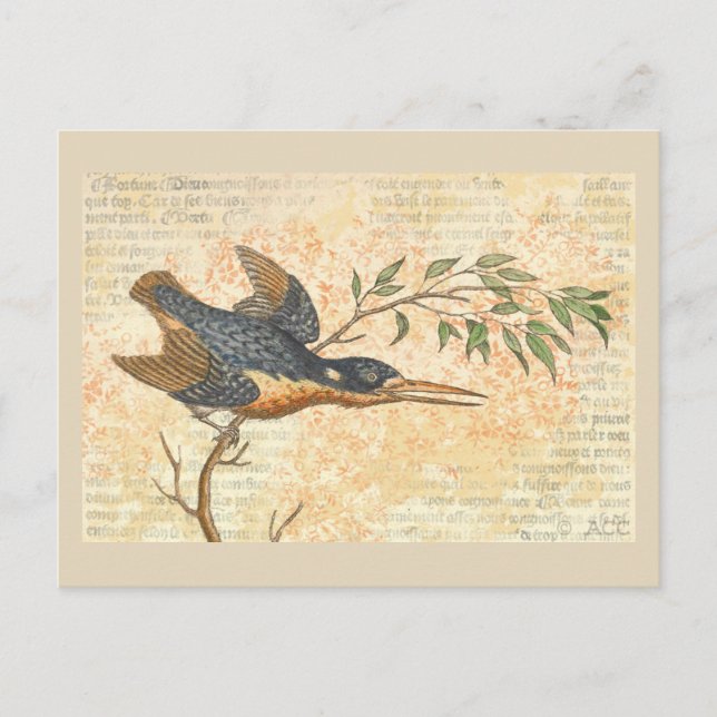 Carte Postale Oiseau bleu sur la branche (Devant)