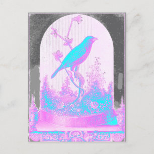 Carte Postale Oiseau bleu turquoise, rose pâle, violet, noir