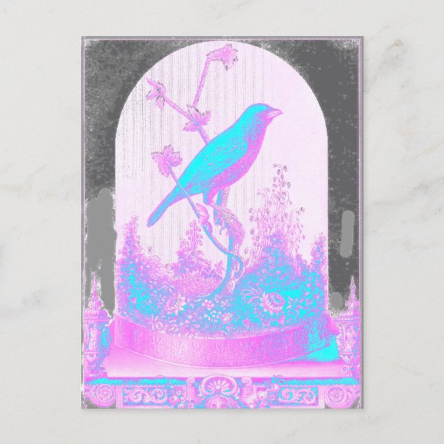 Carte Postale Oiseau bleu turquoise, rose pâle, violet, noir (Devant)