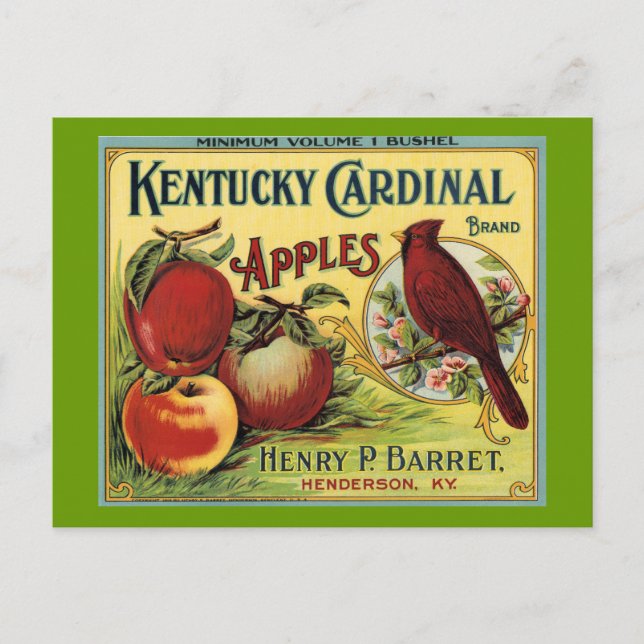 Carte Postale Oiseau cardinal du Kentucky (Devant)