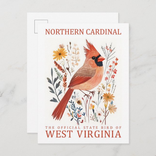 Carte Postale Oiseau cardinal du nord de la Virginie-Occidentale (Devant / Derrière)