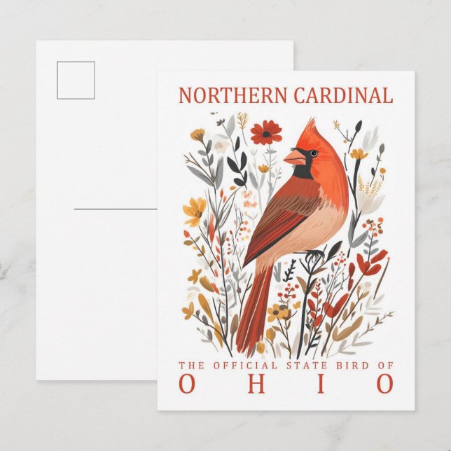 Carte Postale Oiseau cardinal du nord de l'Ohio USA (Devant / Derrière)