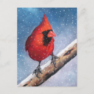 CARTE POSTALE OISEAU : CARDINAL : NEIGE : HUILE PASTEL ART