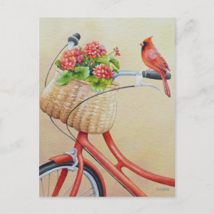 Carte Postale Oiseau cardinal perché sur l'aquarelle à vélo