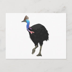 Carte Postale Oiseau Casoar