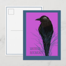 Oiseau -- Cassenoix du sud