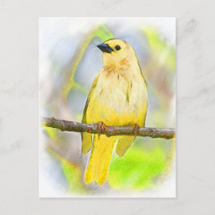 Carte Postale Oiseau Chanteur Doré