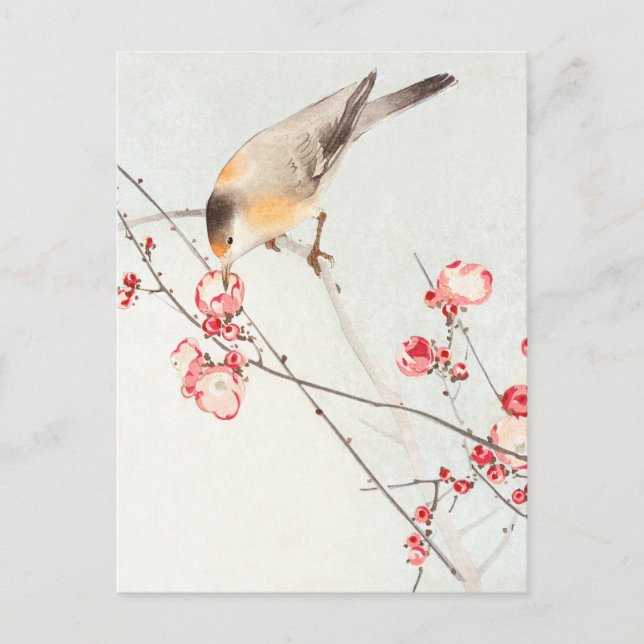 Carte Postale Oiseau chanteur sur une branche en fleurs - Ohara  (Devant)