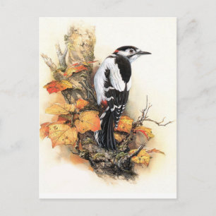 Carte Postale Oiseau d'automne