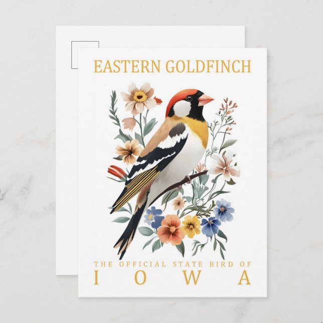 Carte Postale Oiseau de Goldfinch oriental Iowa USA Travel (Devant / Derrière)