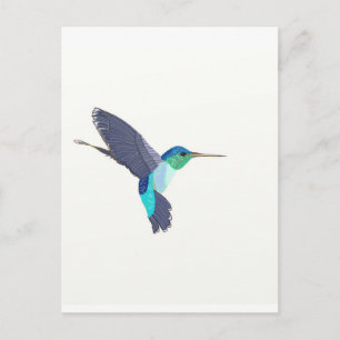 Carte Postale Oiseau de Humming bleu et vert